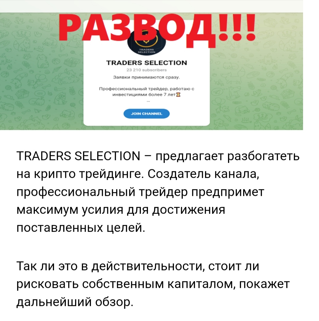 Traders Selection развод