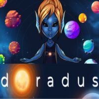 Инвестиционный проект DORADUS