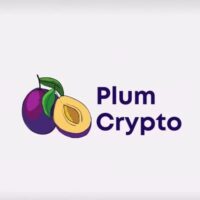 Телеграм канал PlumCrypto