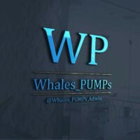 Whales Pumps проект