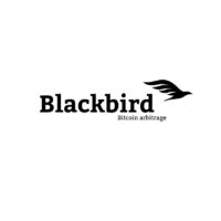 Blackbird проект